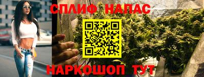 сатива Будённовск