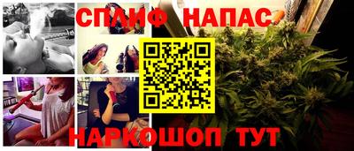 сатива Будённовск