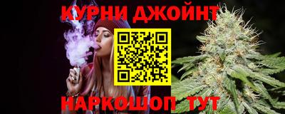 сатива Будённовск
