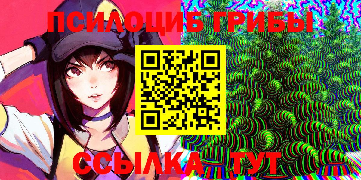 Махачкала  Псилоцибиновые грибы мухоморы  Вход с VPN  Галлюциногенные грибы Psilocybine cubensis 